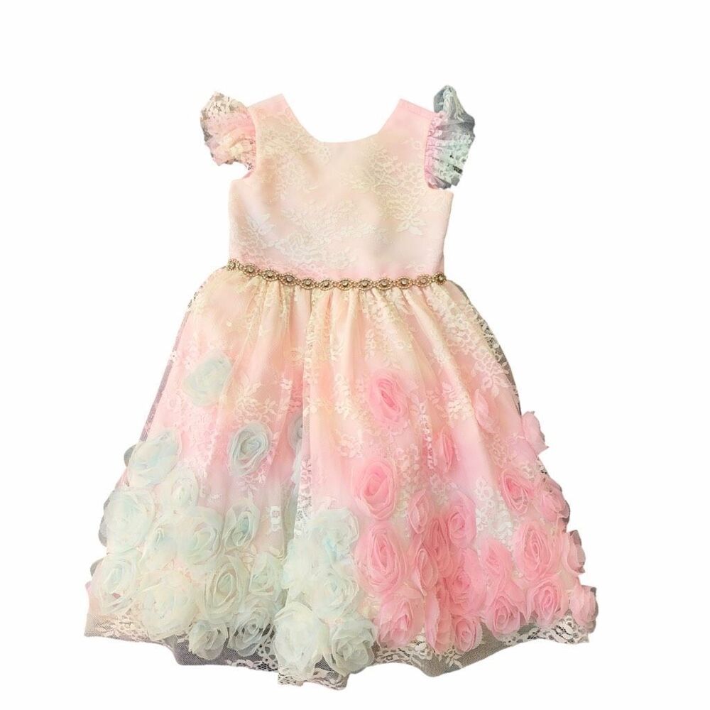 Rare Editions special occasion girls' dress multi-tonal pastel floral theme sz 6